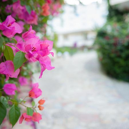 Bougainville Bay Apartments Sarande Exterior photo